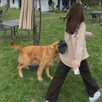 风云际会
